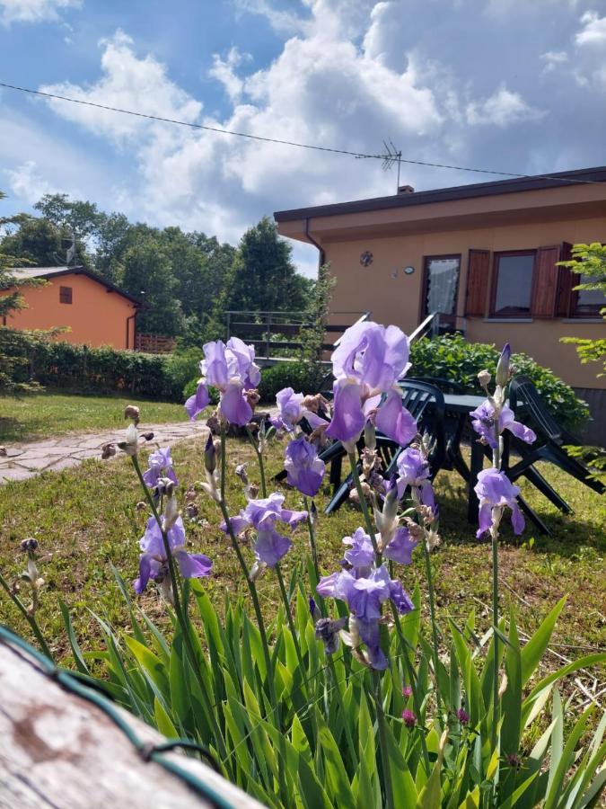Valgiano Chalet Grazia מראה חיצוני תמונה